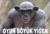 feykleriyle oylama manipülasyonu yapan oç / #1882990