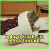 bik bik ve true aşkı