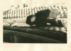 mustafa kemal atatürk fotoğraf arşivi