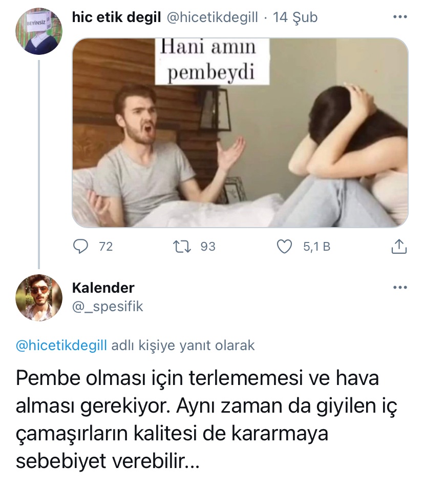 Amcık ne