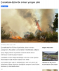 ezine / #2432880