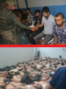 farklı terör örgütlerine farklı muamele yapılması / #1132438