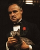 kedi besleyecek kadar yıkık ve loser bir tip olmak / #2207006