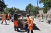 afganistan da sokak köpeklerinin toplanması / #2319969