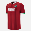 hannover 96
