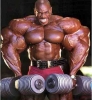 ronnie coleman