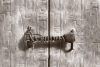 tutankhamun