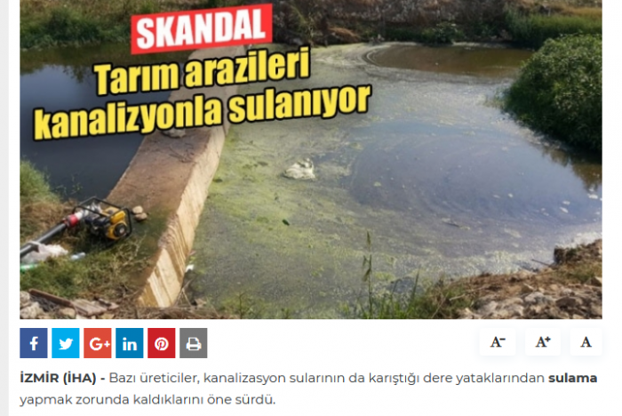 8 milyar insanın boku nereye gidiyor