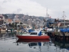 anın görüntüsü / #2292644