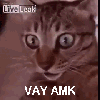 hoşlanılan kızın ismini işeyerek yazmak / #1423555