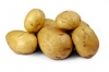 patates in çok büyük bir nimet olması / #1080424