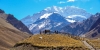 aconcagua