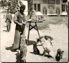 simitlerini sokak köpekleriyle paylaşan simitçi / #1911067