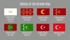 türk bayrağı bana problemli geliyor