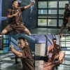 donnie yen