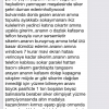 tarihci memur un çaylak olması / #1729544