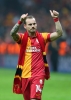 wesley sneijder