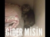 evde hırsızla karşılaşınca yapılması gerekenler / #1086706