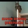 köpeğin cinsel organı kadının vajinasına sıkıştı