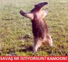true yu tek tokatla bayıltmak / #2268002