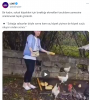 köpektapar