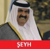 şeyh hamad bin halife resimleri