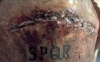 spqr / #1358848