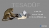 tesadüf diye bir şeyin aslında olmaması / #1396977
