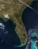 florida yarımadası