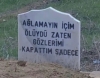 sözlük yazarlarının mezar taşı yazıları