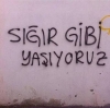gecenin duvar yazısı / #1164193