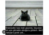 kara kedi görünce yapılması gerekenler