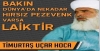 nerede pezevenk varsa hepsi laiktir / #1333469