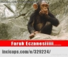 faruk eczanesi / #1439258