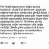 tamda bu yüzden / #1287549