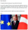 daily telegraph ın erdoğan analizi