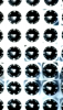 daire / #2425804