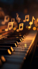müzik