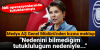 pınar türker / #2426593
