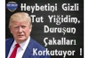 yerel seçimlerde trump a oy çıkması / #1829856