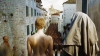 game of thrones izleyip kafirlere ölüm demek / #1360337