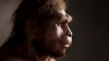 homo erectus un uzunca bir süre yaşamaları / #1950920