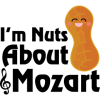 wolfgang amadeus mozart