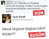 devlet bahçeli nin mhp den kötü ayrılması / #1065613