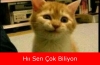 evde hayvan besleyecek kadar mal olmak / #1041402