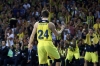 jan vesely