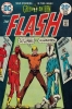 the flash / #1169074