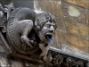 gargoyle / #1655927