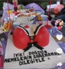 memelerin sarkmaması dileğiyle pastası / #2107100