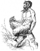 satyr